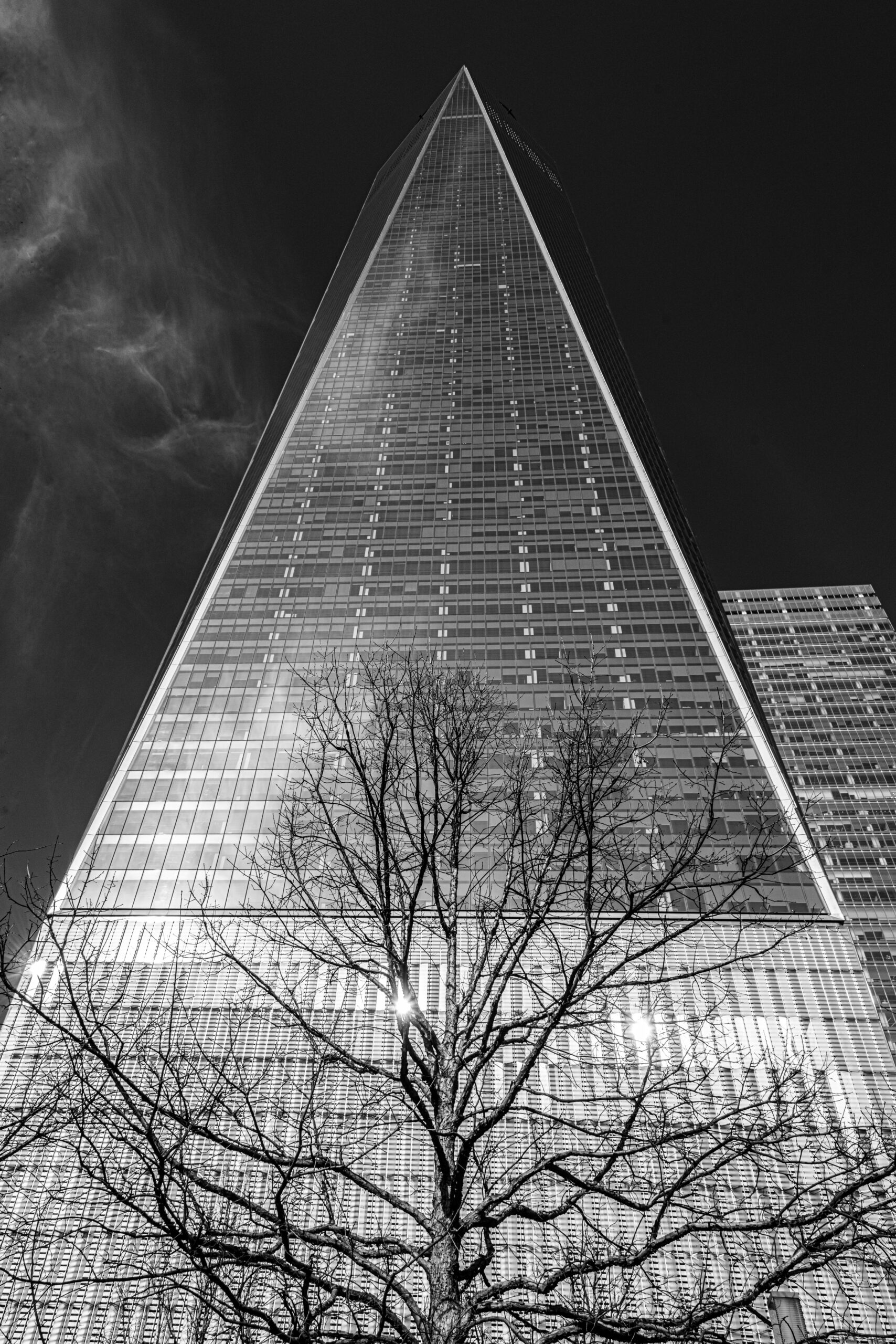 DSC_1195